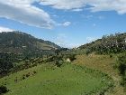th_IMG_0503.jpg