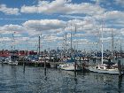 th_IMG_0475.JPG