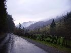 IMGP1252.JPG