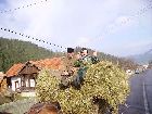 IMGP1259.JPG